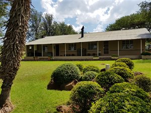 30.1 ha Farm in Koster