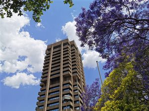 140 m² Office Space in Auckland Park