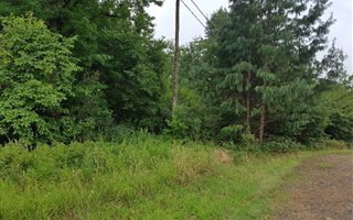 4300 m² Land available in Nottingham Road