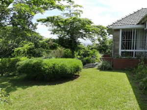 5 Bed House in Manor Gardens