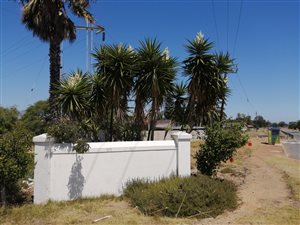 3 Bed House in Firgrove