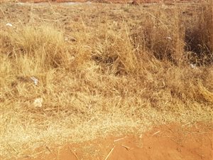 1115 m² Land available in Welgedacht