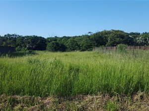 1213 m² Land available in Birdswood