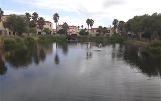 2 Bedroom Apartment in Greenways Golf Estate