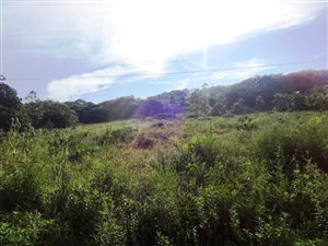 2123 m² Land available in Palm Beach
