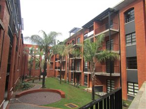 1 Bed Apartment in Melrose North