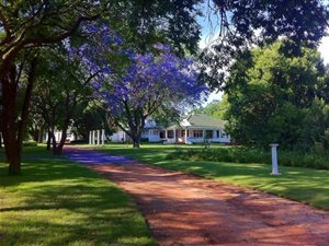 3 ha Farm in Marister