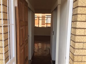 1 Bed Apartment in Arcadia