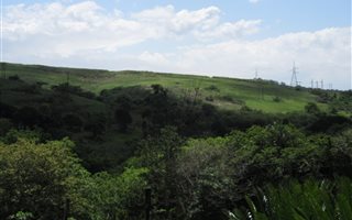 1.7 ha Farm in Craigieburn