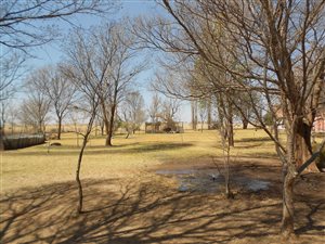17.1 ha Farm in Bloemfontein Rural