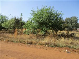 1.7 ha Farm in Tarlton