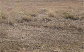 1.3 ha Land available in Heidedal