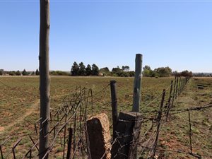 1 ha Land available in Martindale
