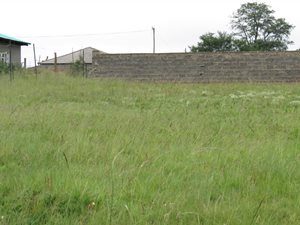 2855 m² Land available in Belfast