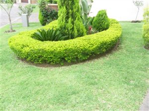 3 Bed Simplex in West Acres