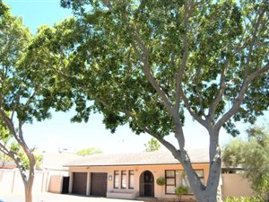 3 Bed House in Monte Vista