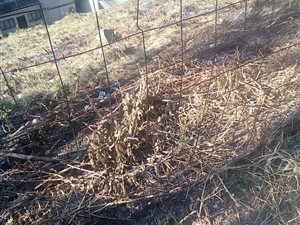 585 m² Land available in Umhlatuzana