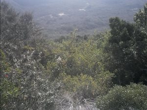 1102 m² Land available in Cola Beach