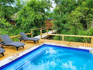 21 ha Farm in Hoedspruit