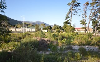 1015 m² Land available in Kleinmond
