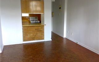 1 Bedroom Apartment in Bellevue