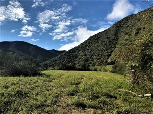 31 ha Farm in Calitzdorp
