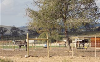 184.7 ha Farm in Stilbaai