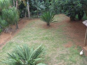 3 Bed House in St Winifreds