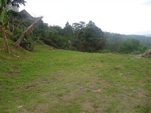 2159 m² Land available in Northdene