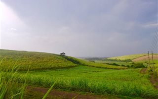 38 ha Farm in Shakas Rock