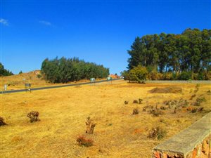 1191 m² Land available in Dullstroom