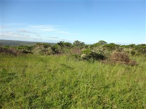 60.8 ha Land available in Kwelera
