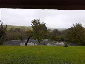 23.8 ha Farm in Mooi River