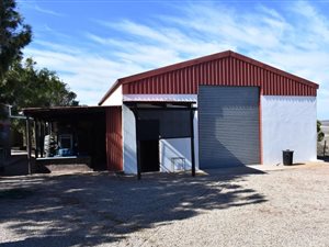11 ha Farm in Vredenburg