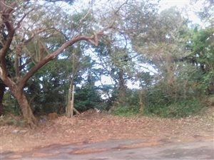 1056 m² Land available in Melville