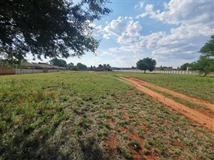 1 ha Farm in Wilkoppies