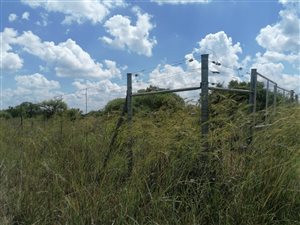 22 ha Farm in Dinokeng