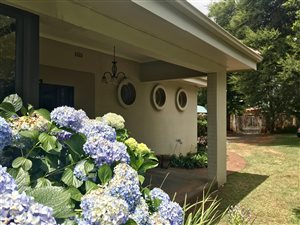 3 Bed House in Emmarentia