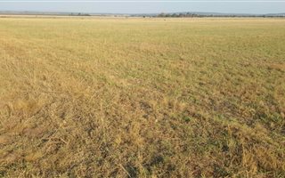 51.4 ha Farm in Kungwini Country Estate