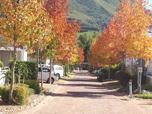 3 Bed House in Capolavoro Estate
