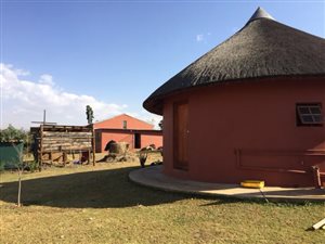 6 ha Farm in Central Drakensberg