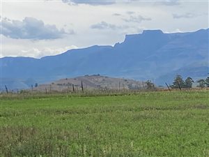 6 ha Farm in Central Drakensberg