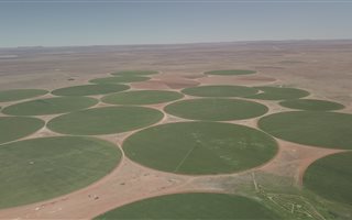 3800 ha Farm in Hopetown