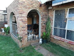 3 Bed House in Elandspoort