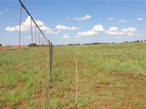 5565 m² Land available in Bashewa