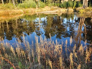 96.9 ha Land available in Bulwer