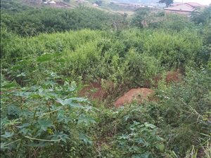 1600 m² Land available in Umgababa
