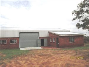 8.5 ha Farm in Grootvlei AH