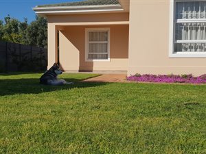 3 Bed House in Somerset West Central