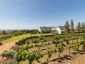 Farm in Stellenbosch Agricultural